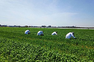 迈克斯（如东）化工有限公司 企业风采